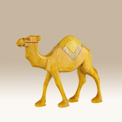 kamel-lauf_-gd-9cm-f_1